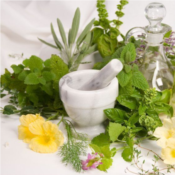 Plantas medicinales